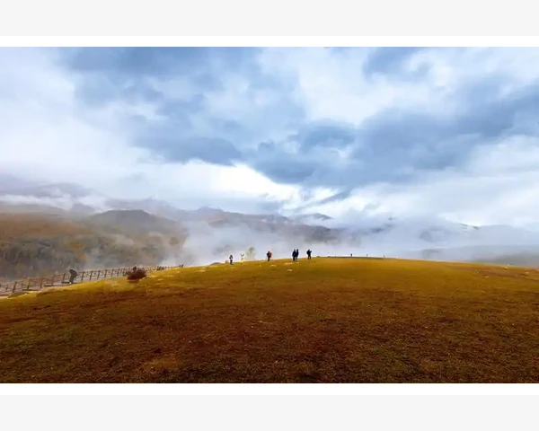 MT4图表一键截图分享到社交平台