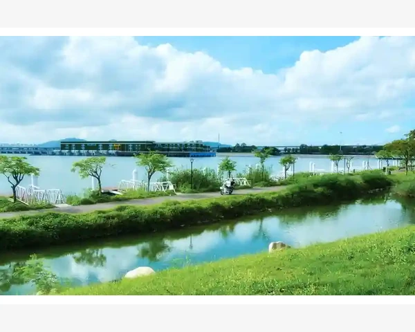 MT4市场观察列表这样调整看盘效率翻倍_网络延迟和服务器选择直接影响软件响应速度