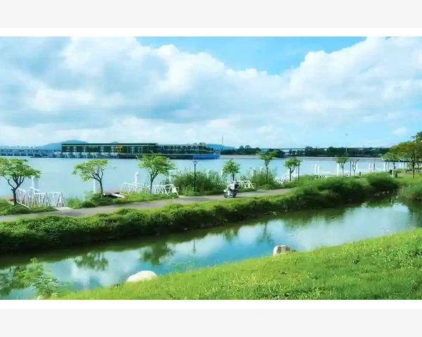 MT4市场观察列表这样调整看盘效率翻倍_拖拽排序与右键菜单的基础操作