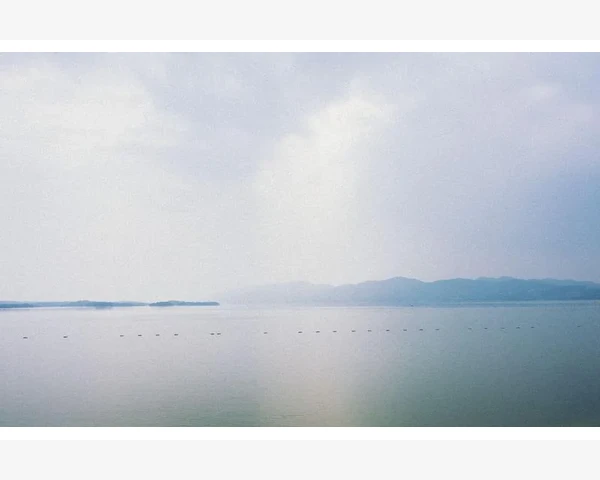 B2B数据采集实战技巧与平台挖掘_平台规则和运营节奏的把握