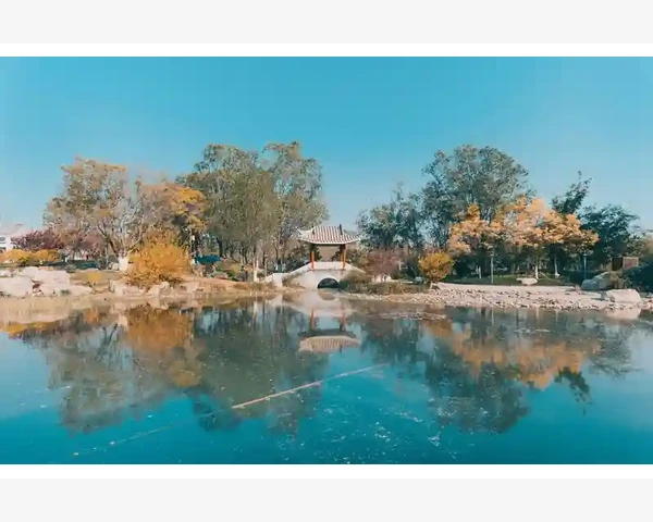MT4电脑版模板加载失败的常见根因排查_模板文件存放位置是否正确
