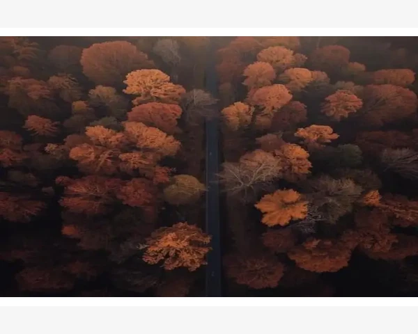 B2B O2O C2C三大电商模式到底差在哪_投稿前的准备工作不能马虎