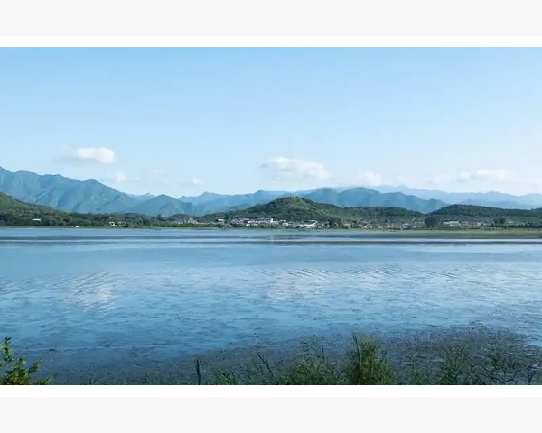 MT4市场观察列表这样调整看盘效率翻倍_彻底解决需要接受MT4的局限性并善用替代方案