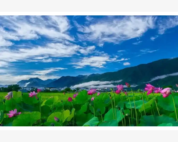 亚马逊B2B平台企业采购新选择_亚马逊B2B平台企业采购新选择