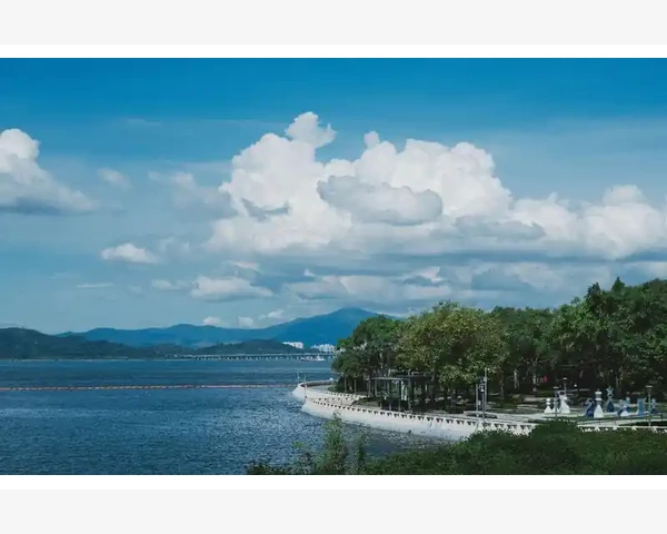 公牛B2B平台入驻与高效运营全流程_公牛B2B平台入驻与高效运营全流程