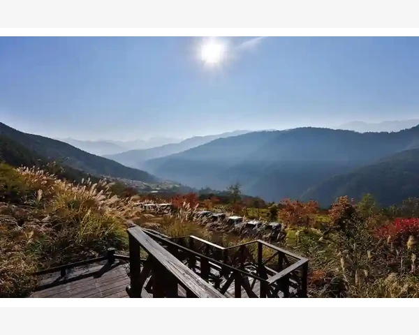 水平B2B平台类型大盘点_优化烤制流程提升操作效率