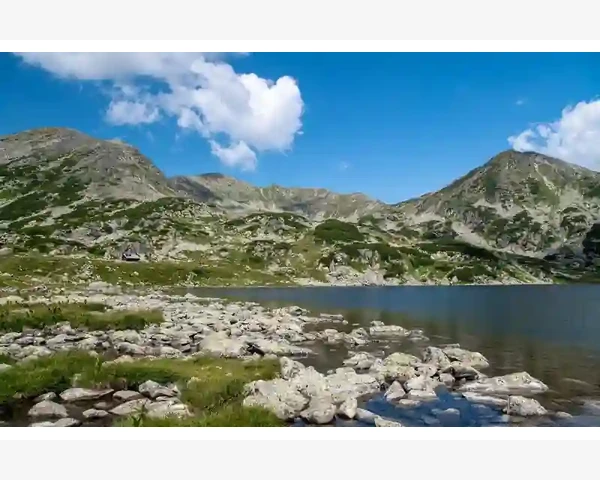 B2B多对多模式企业协同新生态_新兴平台和区域市场的机会挖掘