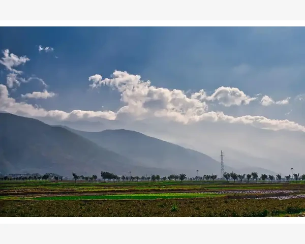MT4导航栏核心功能与操作技巧全掌握