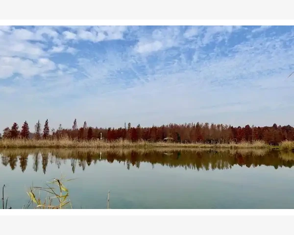 移动B2B商城如何改变企业采购方式_移动B2B商城如何改变企业采购方式