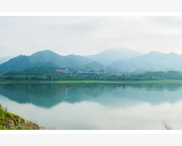 MT4回测功能实战运用交易策略验证