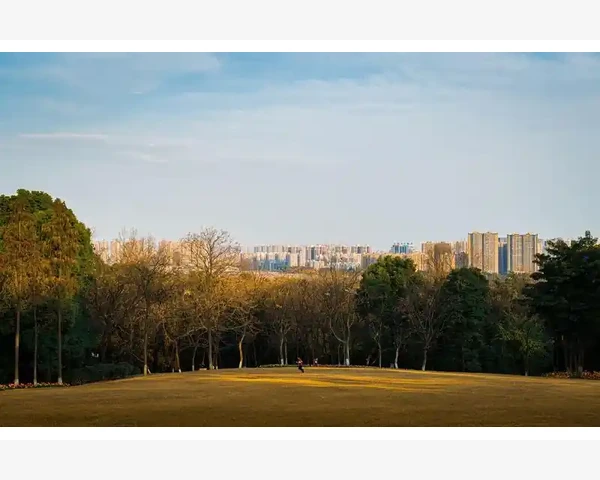 免费B2B网站运营的细节与误区_小板凳B2B信息网功能实操详解