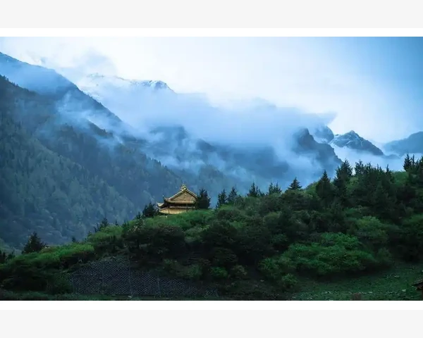 MT4导航栏功能快速上手实用技巧
